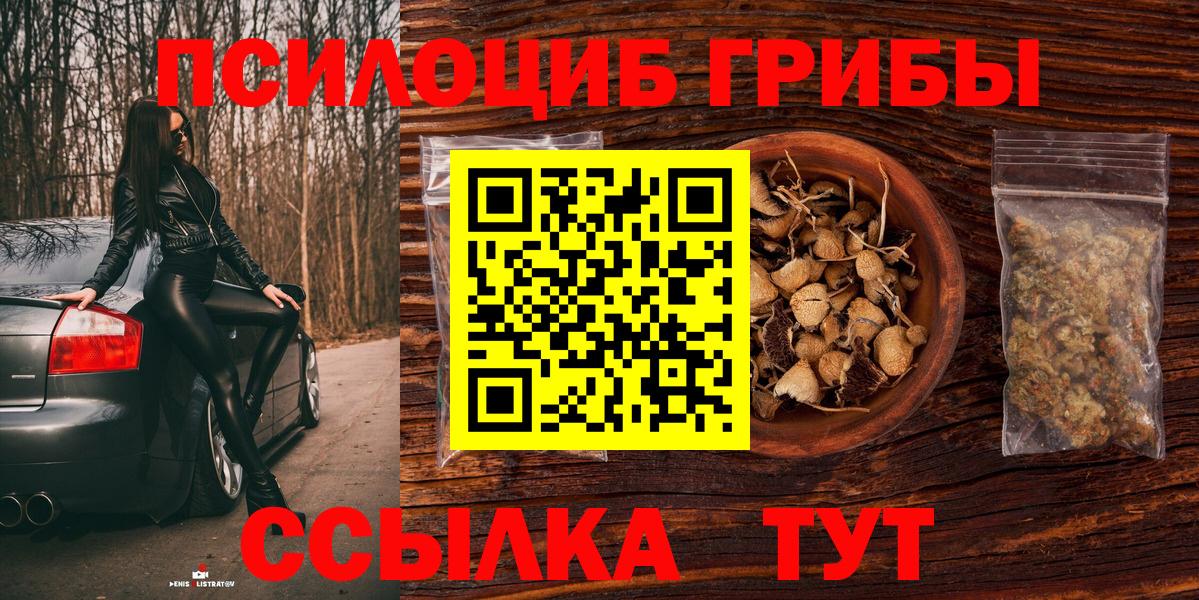 Владикавказ  Псилоцибиновые грибы GOLDEN TEACHER  Галлюциногенные грибы мицелий  даркнет сайт  Вход с VPN 